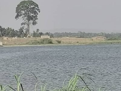 A vendre Assinie pk 16 un terrain de 15000m2