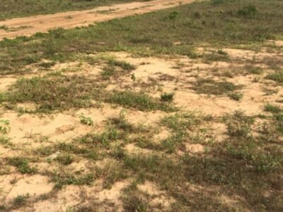 🚨 TERRAIN EN VENTE À ABIDJAN 🚨