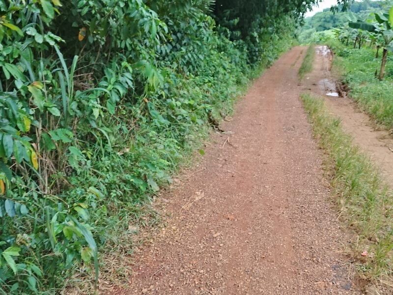 Parcelle agricole 05 hectares à Agboville