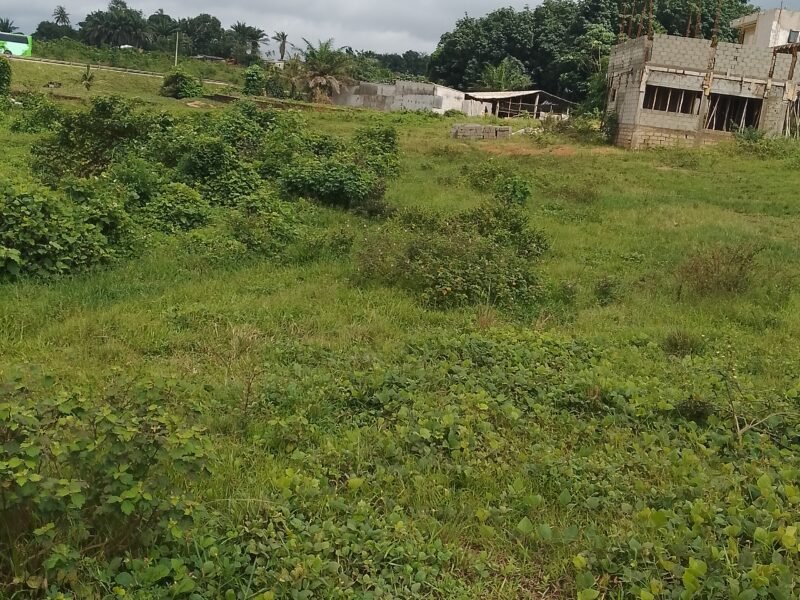 Terrains 400 m2 proche goudron à Anyama